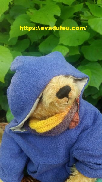 20210717_175035_1626543142523